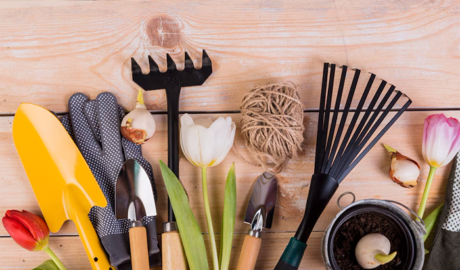 Essential Gardening Tools