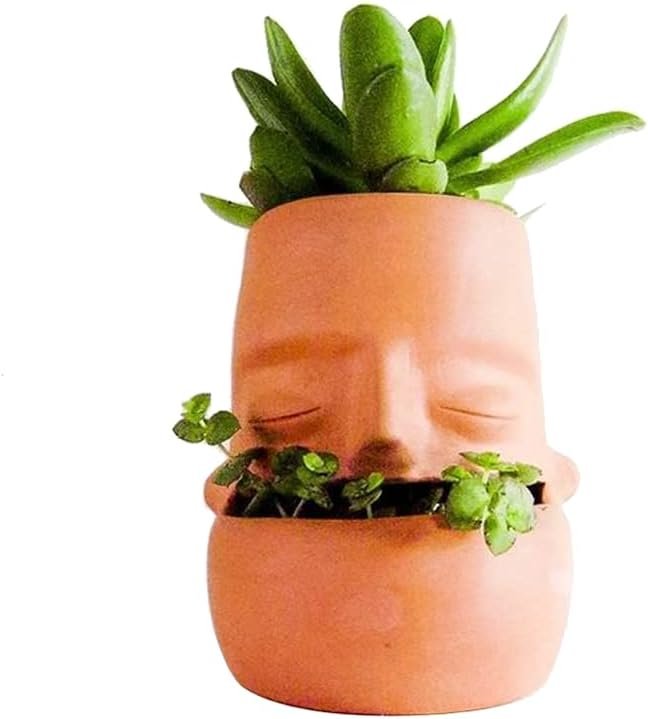 Tribe Face Planter