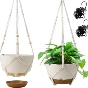 Hanging Planters 