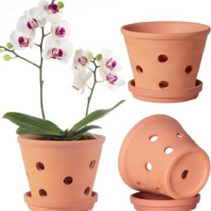 Plant Pots