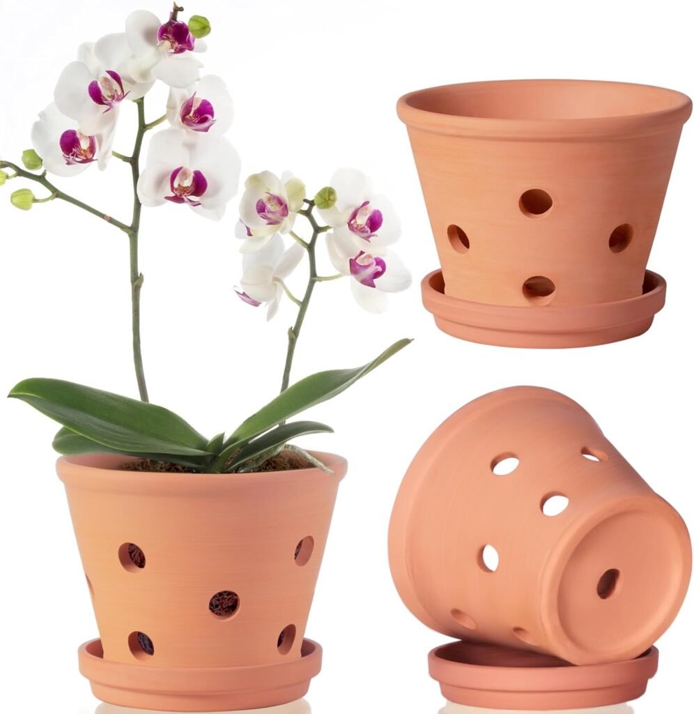 Plant Pots