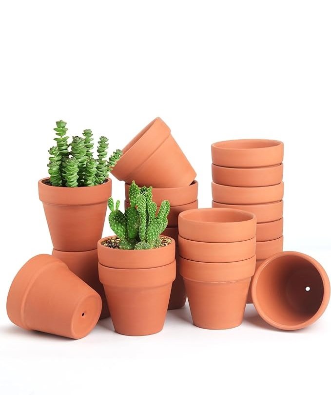 3 mini Clay Pots 