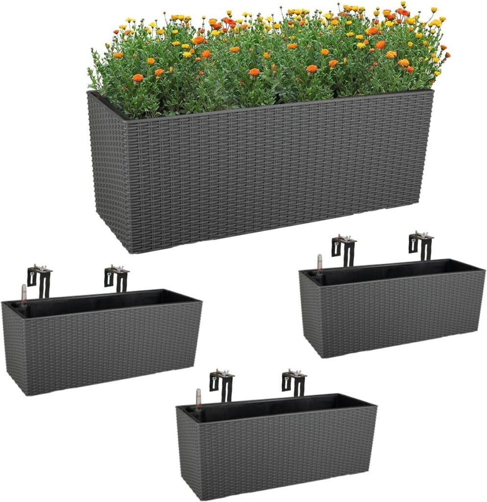 Window Boxes Planters