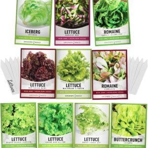 Salad Greens Lettuce Seeds Heirloom Vegetable Seed 23,000 Seeds 10 Packs