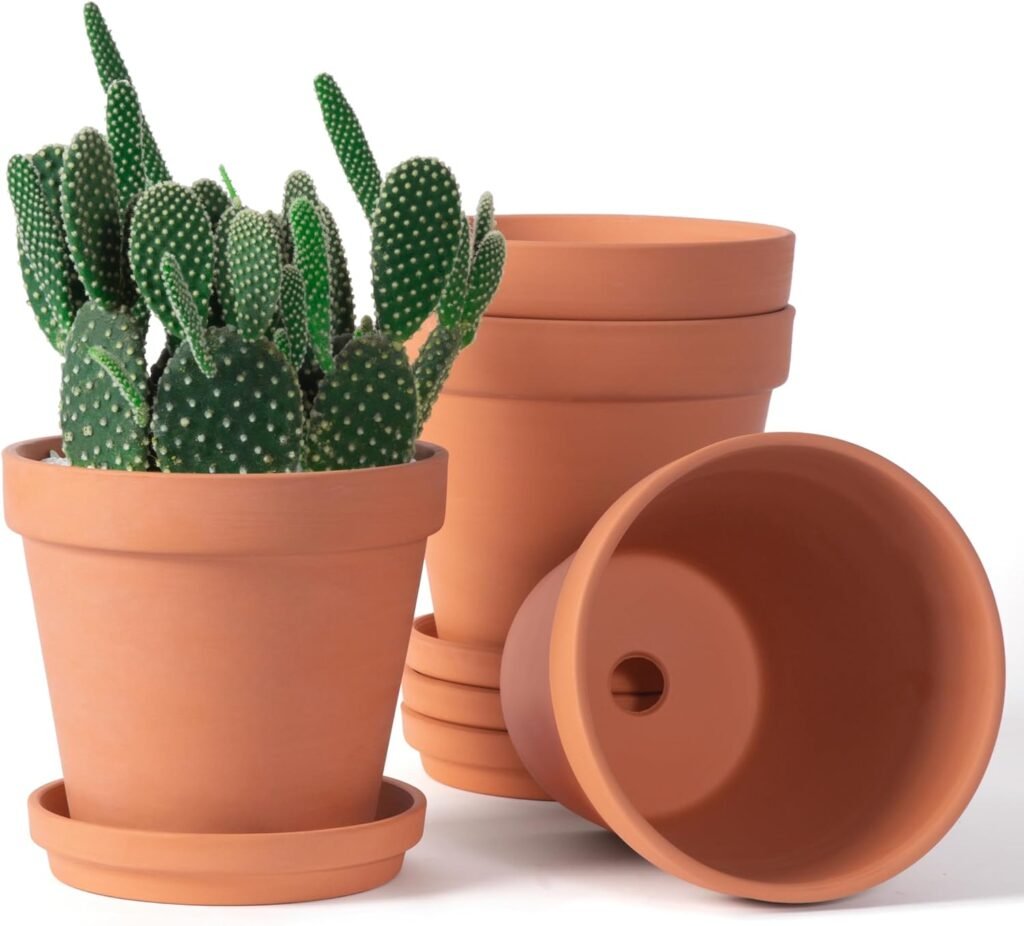 Plant Pots 