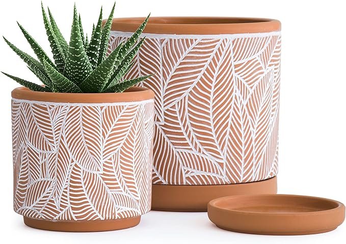  Terracotta Planter Pot 