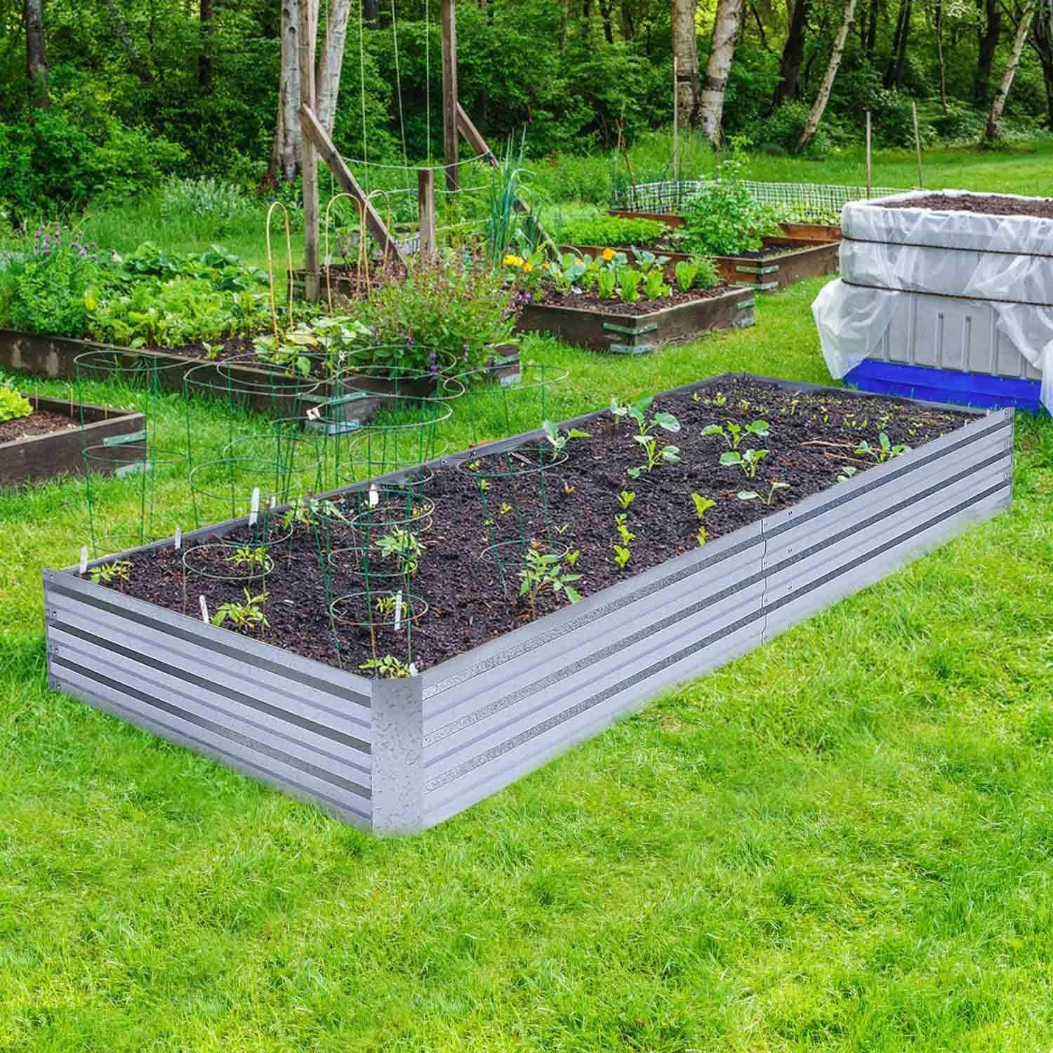 Raised Garden Beds