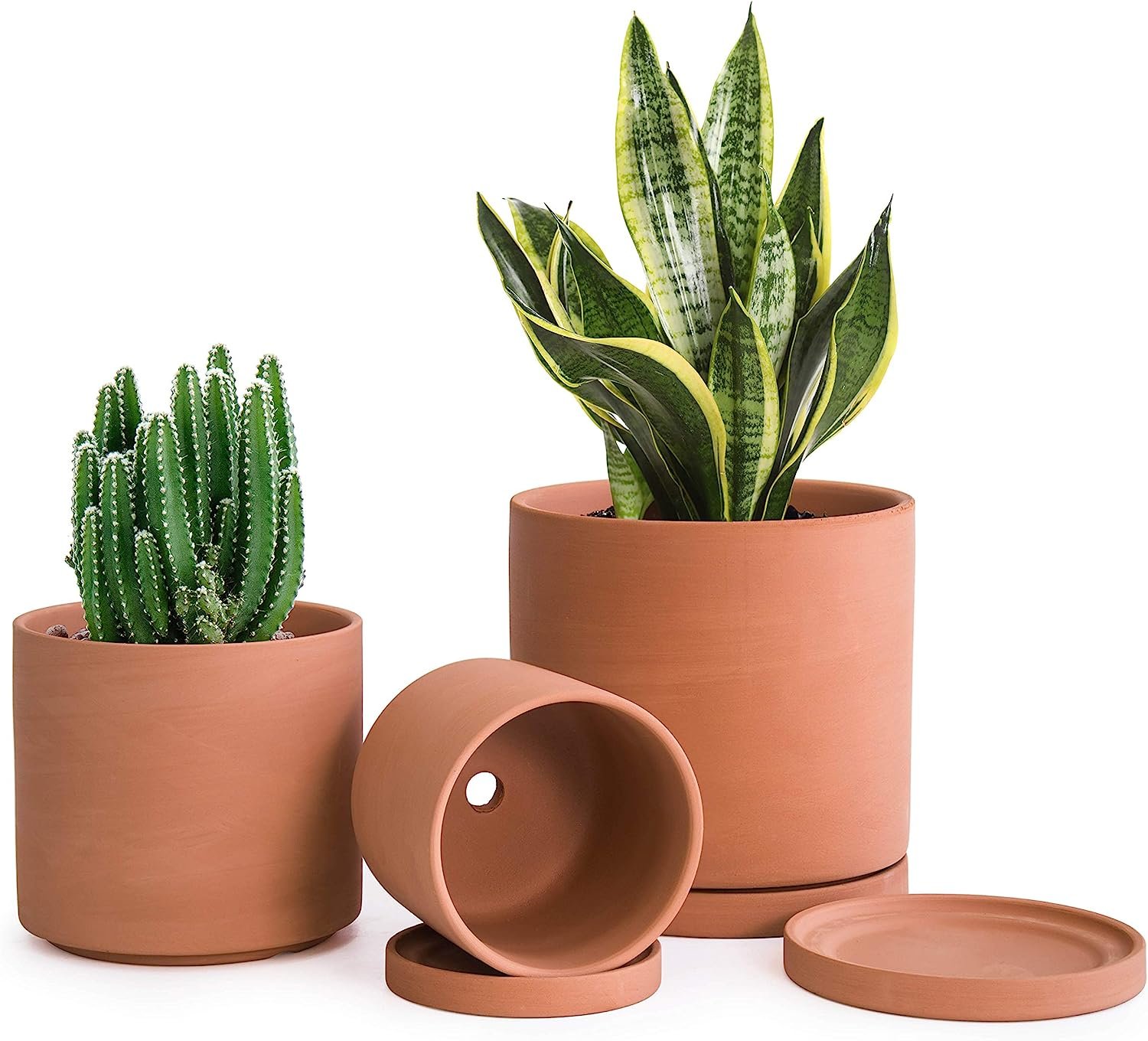 clay pots