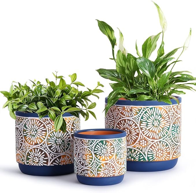 Decorative Planters