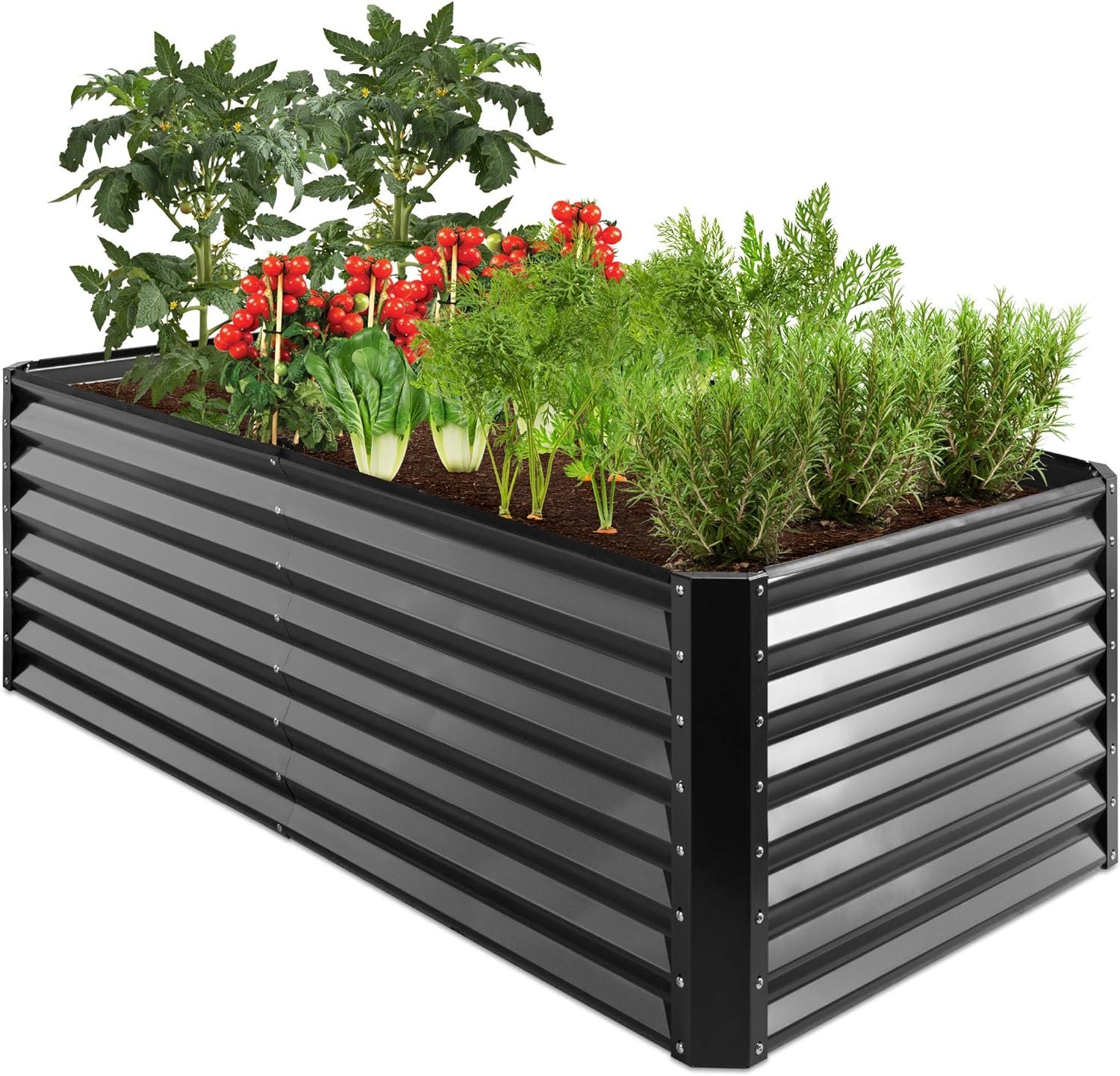 Raised Garden Beds