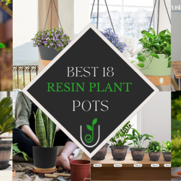 Best 18 Resin Plant Pots