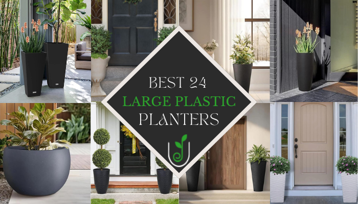 Large Plastic Planters